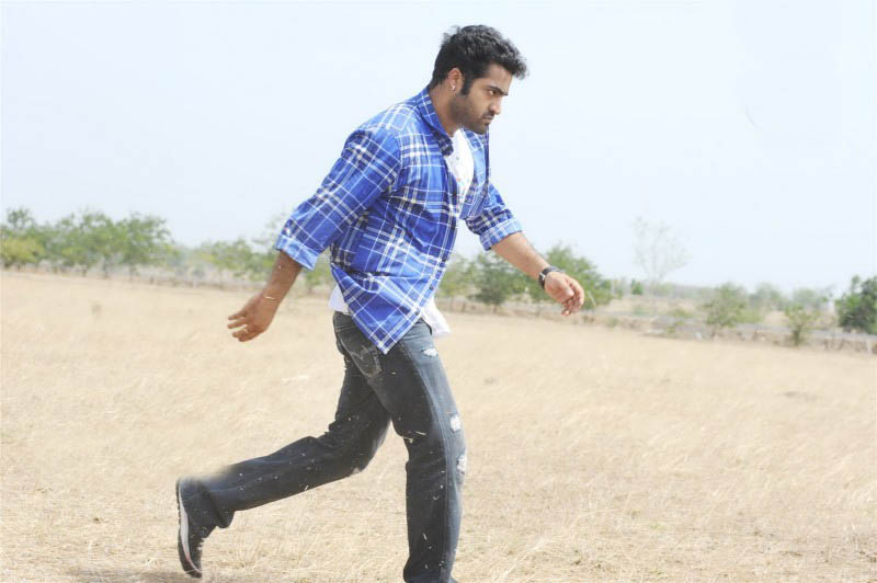 movie coll